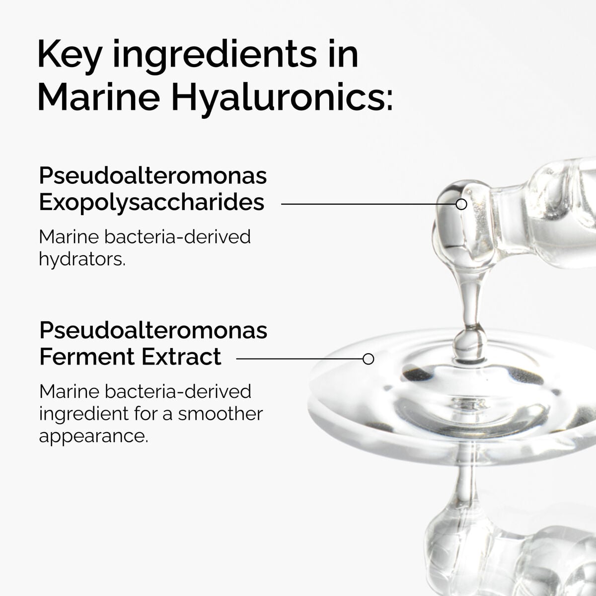 marine-hyaluronics-e8 FY25-D41247-ORD-Web-PDP-Marine-Hya-1x1-EN-2a.jpg