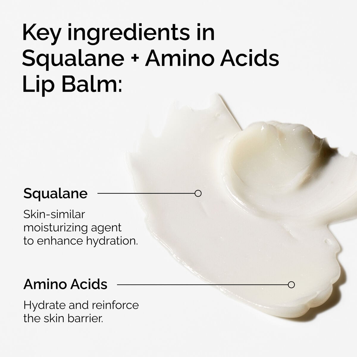 squalane-amino-acids-lip-balm-o7 FY25-D41247-ORD-Web-PDP-Sql-Amino-Lip-1x1-EN-2a.jpg